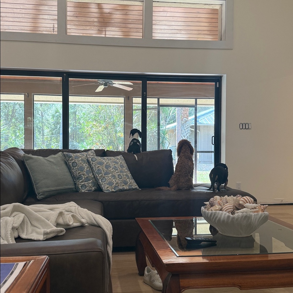 Meet your Posher, Chloe